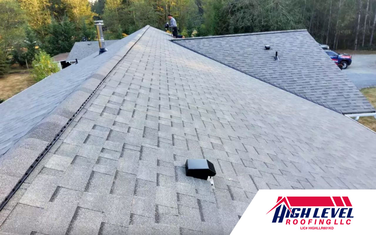 missing or broken shingles, granules in the gutter, water damage or leaking, sagging or buckling, sunlight coming in through the roof, and mold growth
