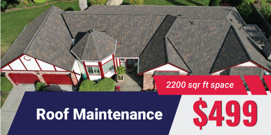 roof-maintenance-horizontal