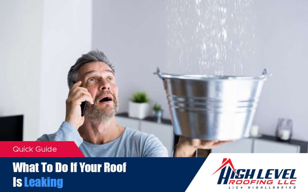 What to Do If Your Roof Is Leaking - Quick Fix Guide