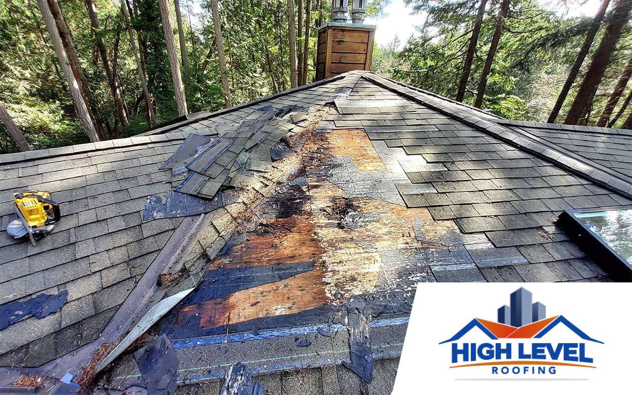 roof ruin by storm