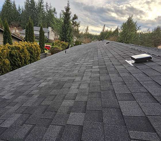 Roofing Repair in Gig Harbor, WA