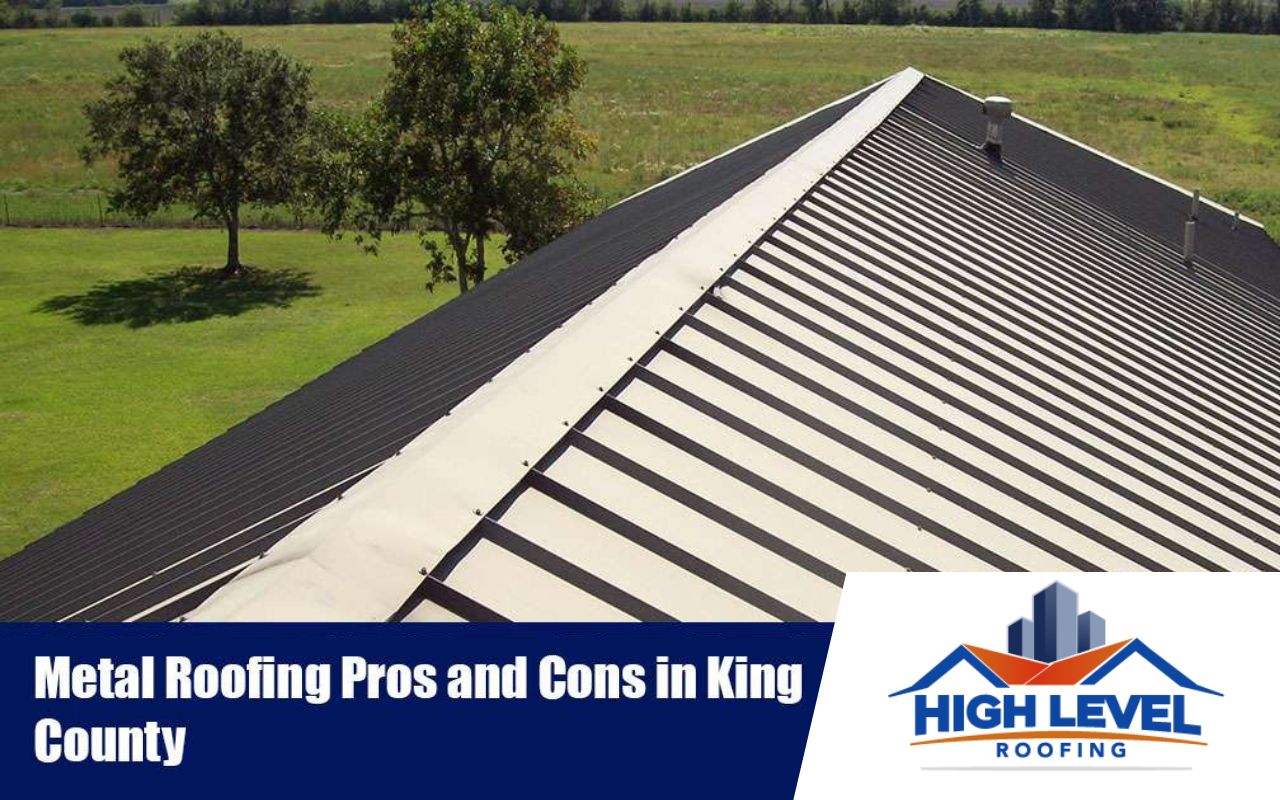 Contemporary home with new metal roofing in King County